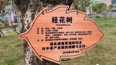 “種”希望！綠化中普，共建美麗家園